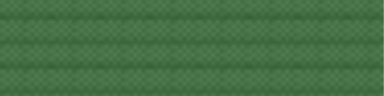 Sambo Belt System Ranking Green Belt