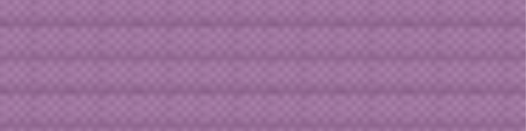 Combat Sambo Belt System Purple Belt