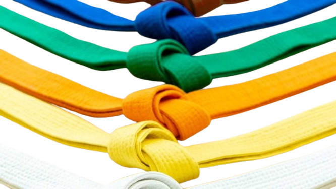 Combat Sambo Belt System