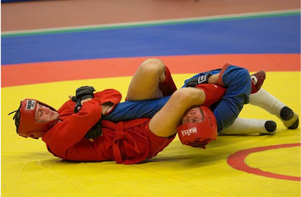 Combat Sambo Arm Lock