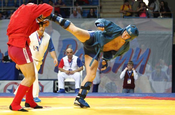 Combat Sambo Striking Techniques