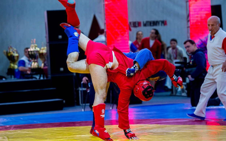 Combat Sambo Throwing Technique