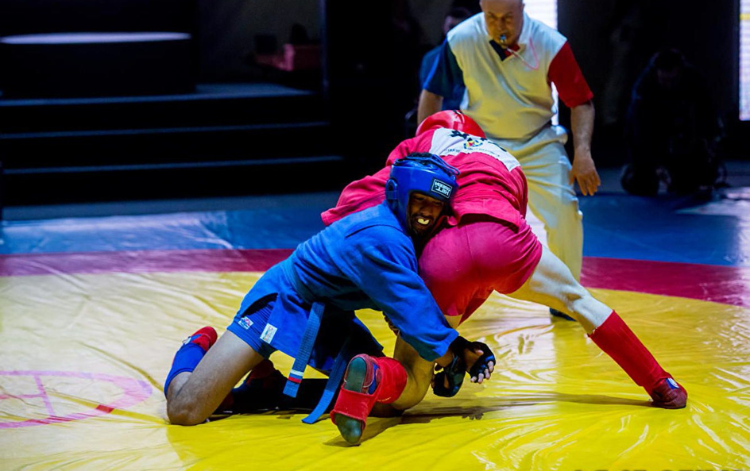 Combat Sambo Training