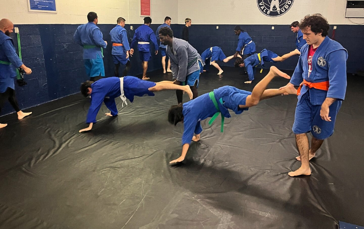 Sambo fitness