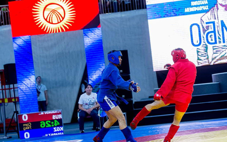 Style of Sambo Combat Sambo