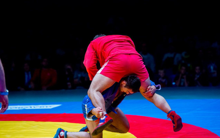 Styles of Sambo Sport Sambo