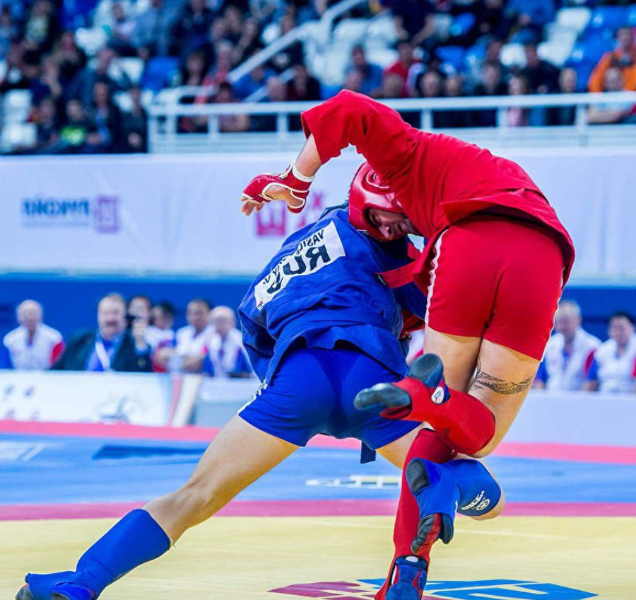 Learn Combat Sambo Techniques